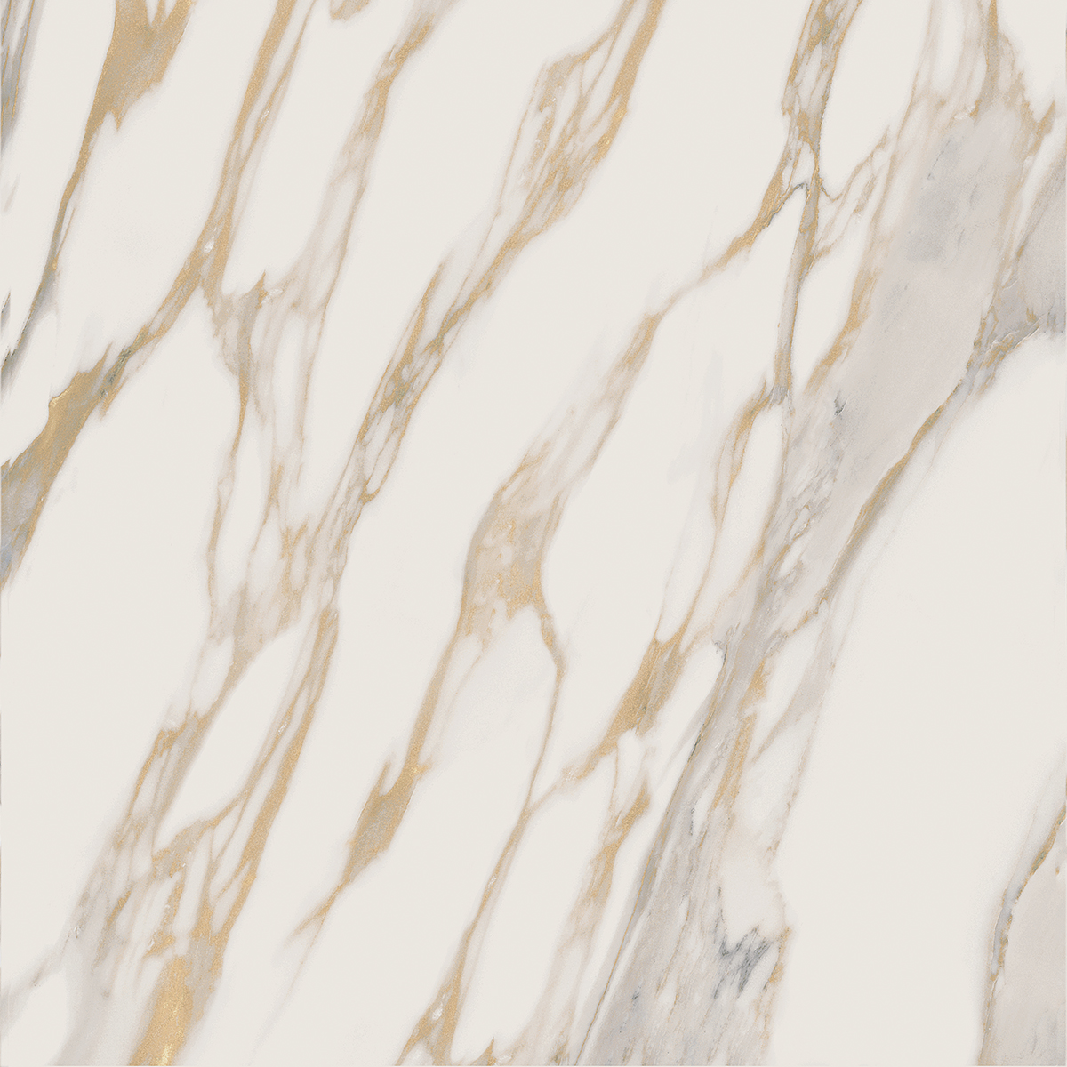 Плитка из керамогранита RM01 60x60x10 Полир. (Керамический гранит)