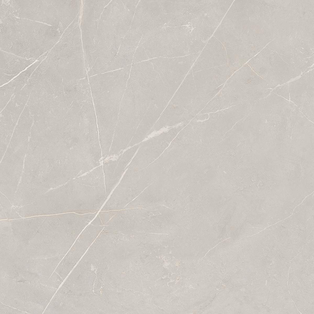 Плитка из керамогранита NL02 60x60x10 Непол.Рект. (Керамический гранит)