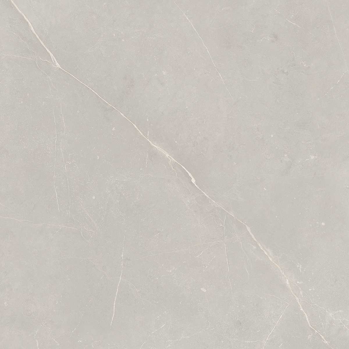 Плитка из керамогранита NL02 60x60x10 Непол.Рект. (Керамический гранит)