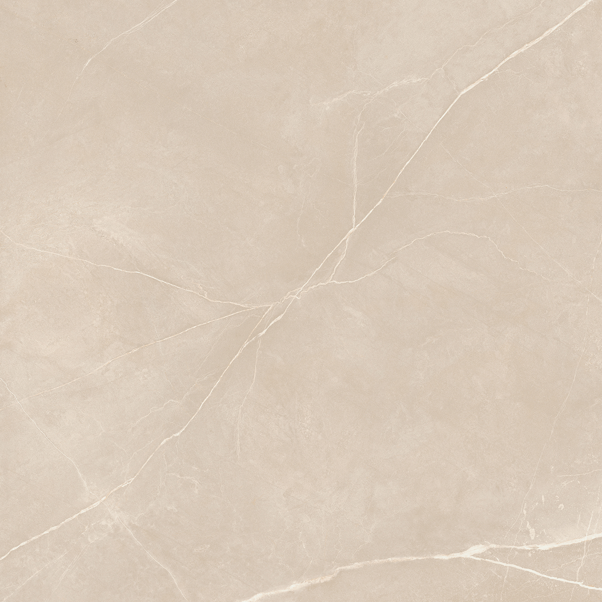 Плитка из керамогранита NL01 60x60x10 Непол.Рект. (Керамический гранит)