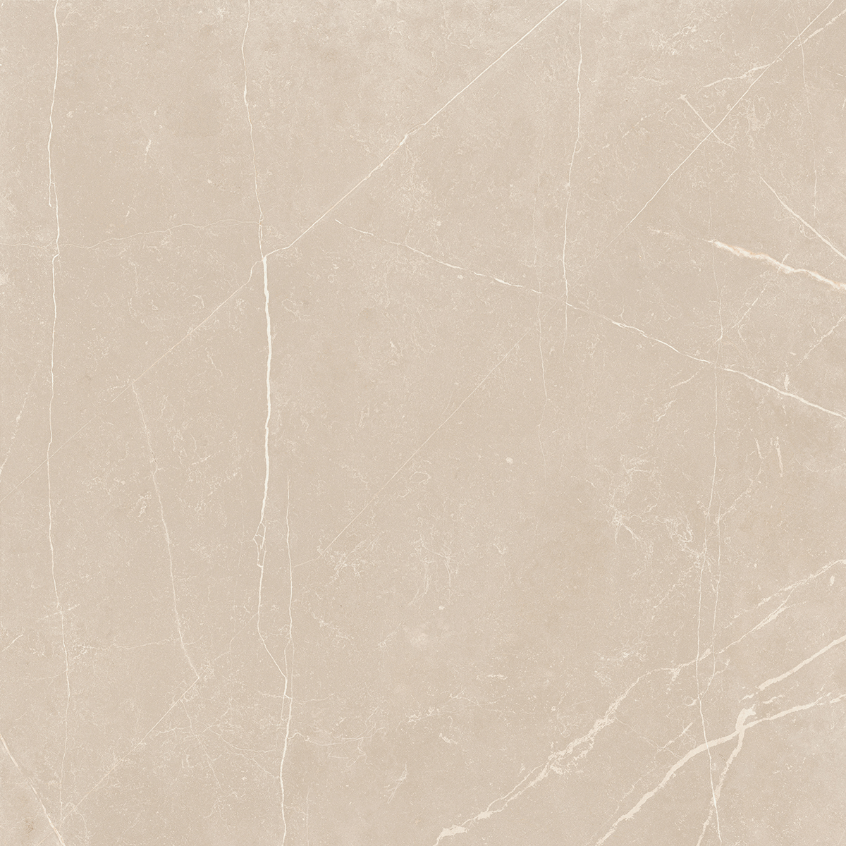 Плитка из керамогранита NL01 60x60x10 Непол.Рект. (Керамический гранит)