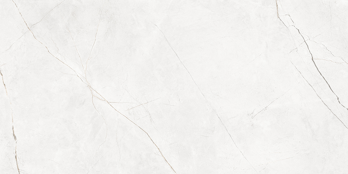 Плитка из керамогранита NL00 60x120x10 Непол.Рект. (Керамический гранит)