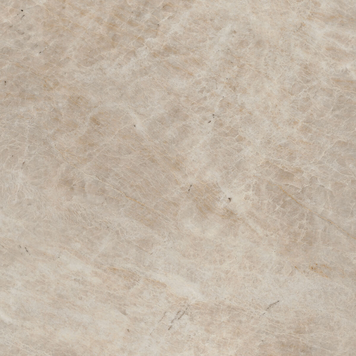 Плитка из керамогранита MO08 40,5x40,5x8 Непол. (Керамический гранит) (43,296 м2)