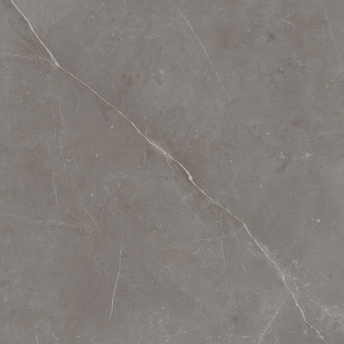 Плитка из керамогранита NL03 60x60x10 Непол.Рект. (Керамический гранит)