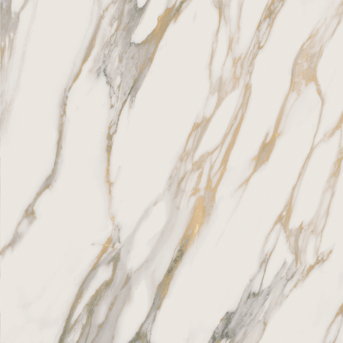 Плитка из керамогранита RM01 60x60x10 Полир. (Керамический гранит)
