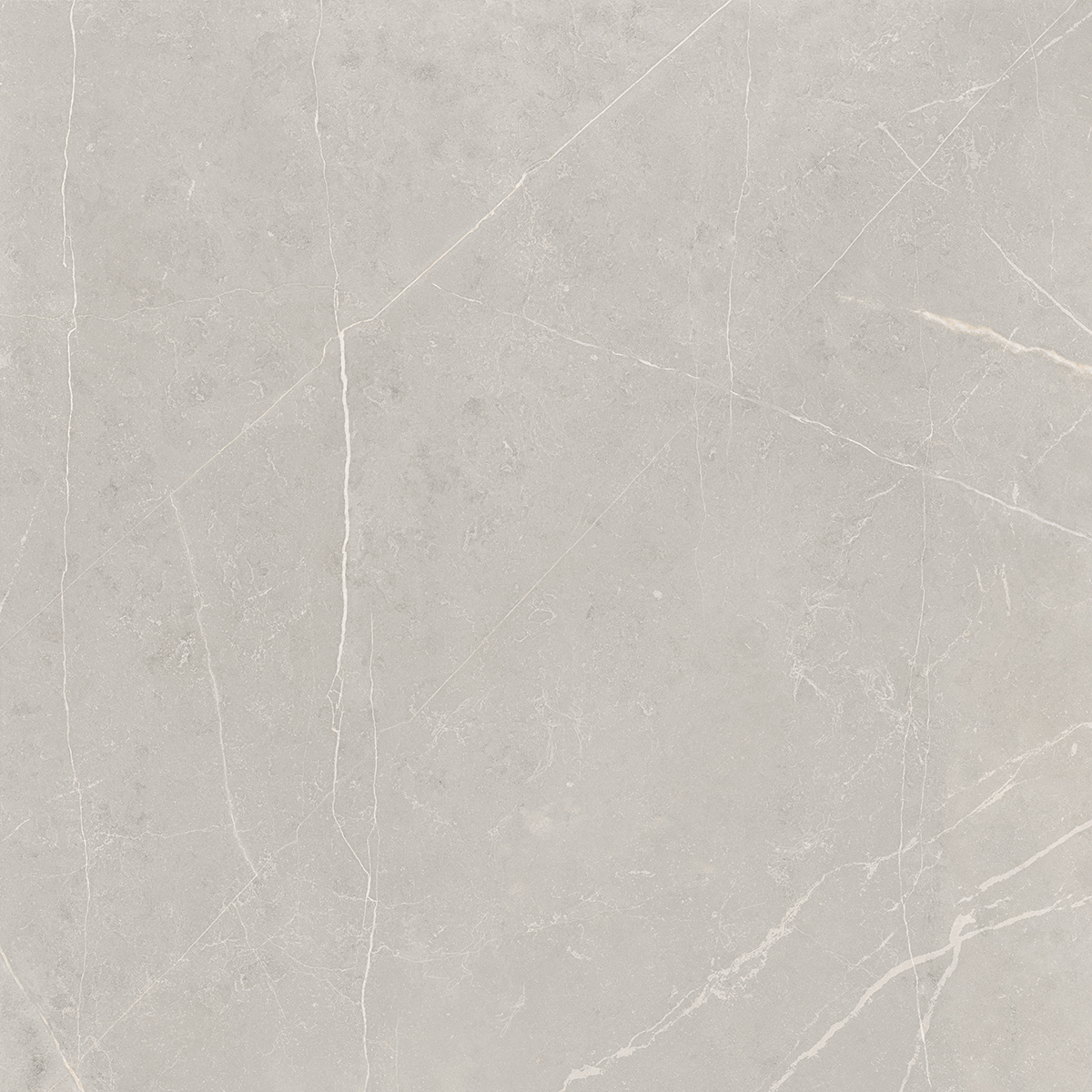 Плитка из керамогранита NL02 60x60x10 Непол.Рект. (Керамический гранит)