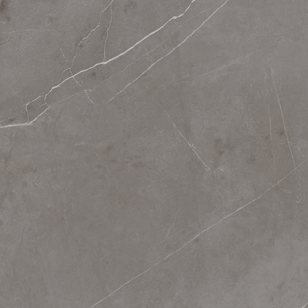 Плитка из керамогранита NL03 60x60x10 Непол.Рект. (Керамический гранит)