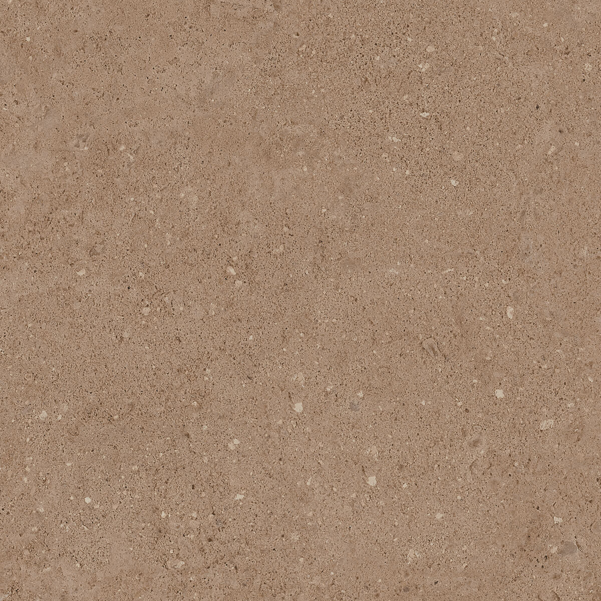 Плитка из керамогранита NP03 40,5x40,5x8 Непол. (Керамический гранит) (43,296 м2)
