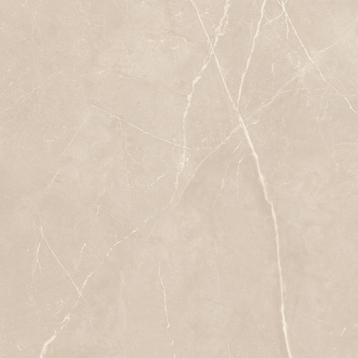Плитка из керамогранита NL01 60x60x10 Непол.Рект. (Керамический гранит)