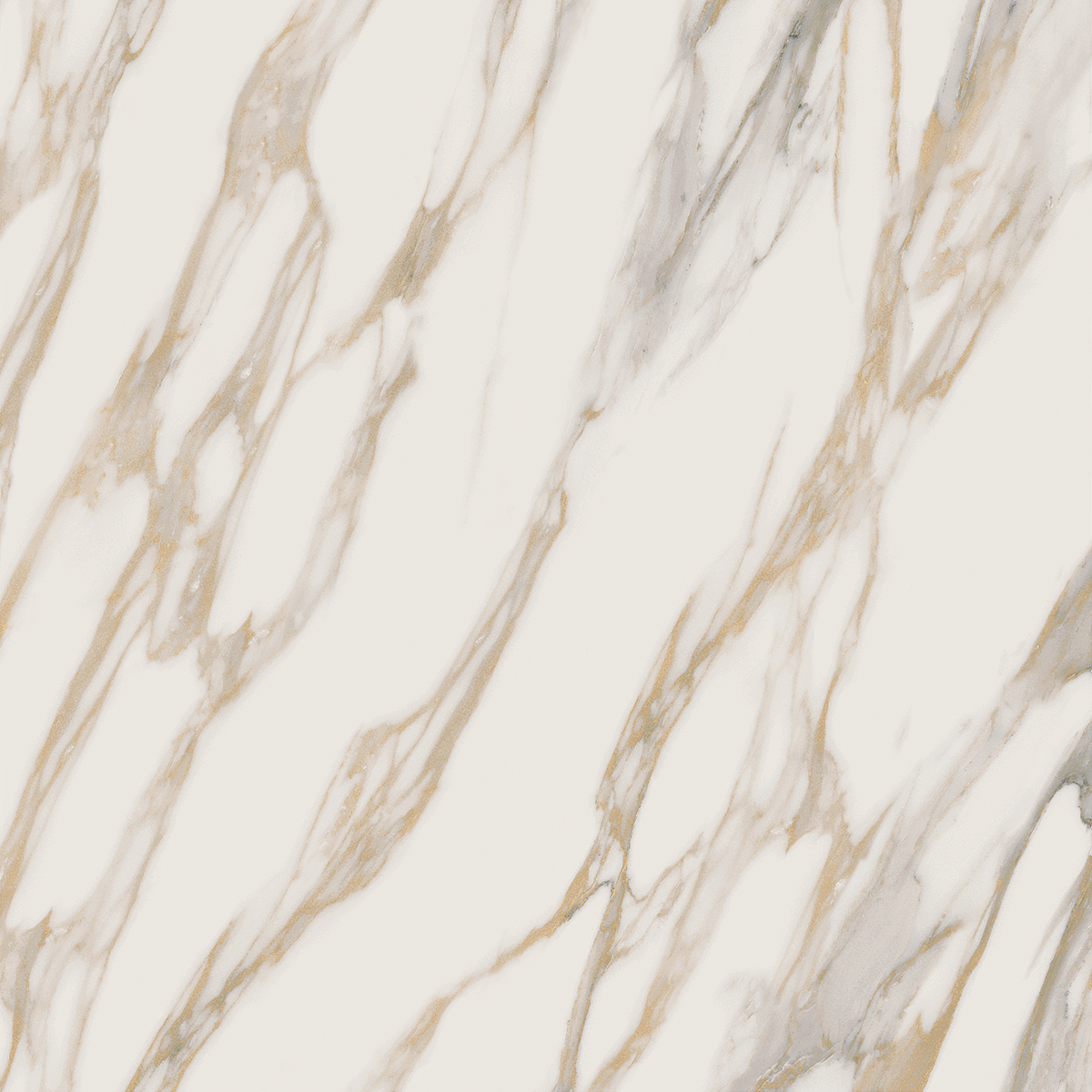 Плитка из керамогранита RM01 60x60x10 Полир. (Керамический гранит)