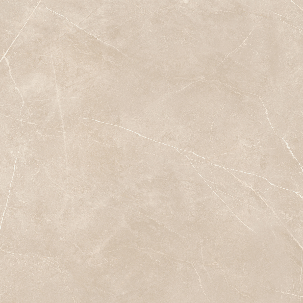 Плитка из керамогранита NL01 60x60x10 Непол.Рект. (Керамический гранит)