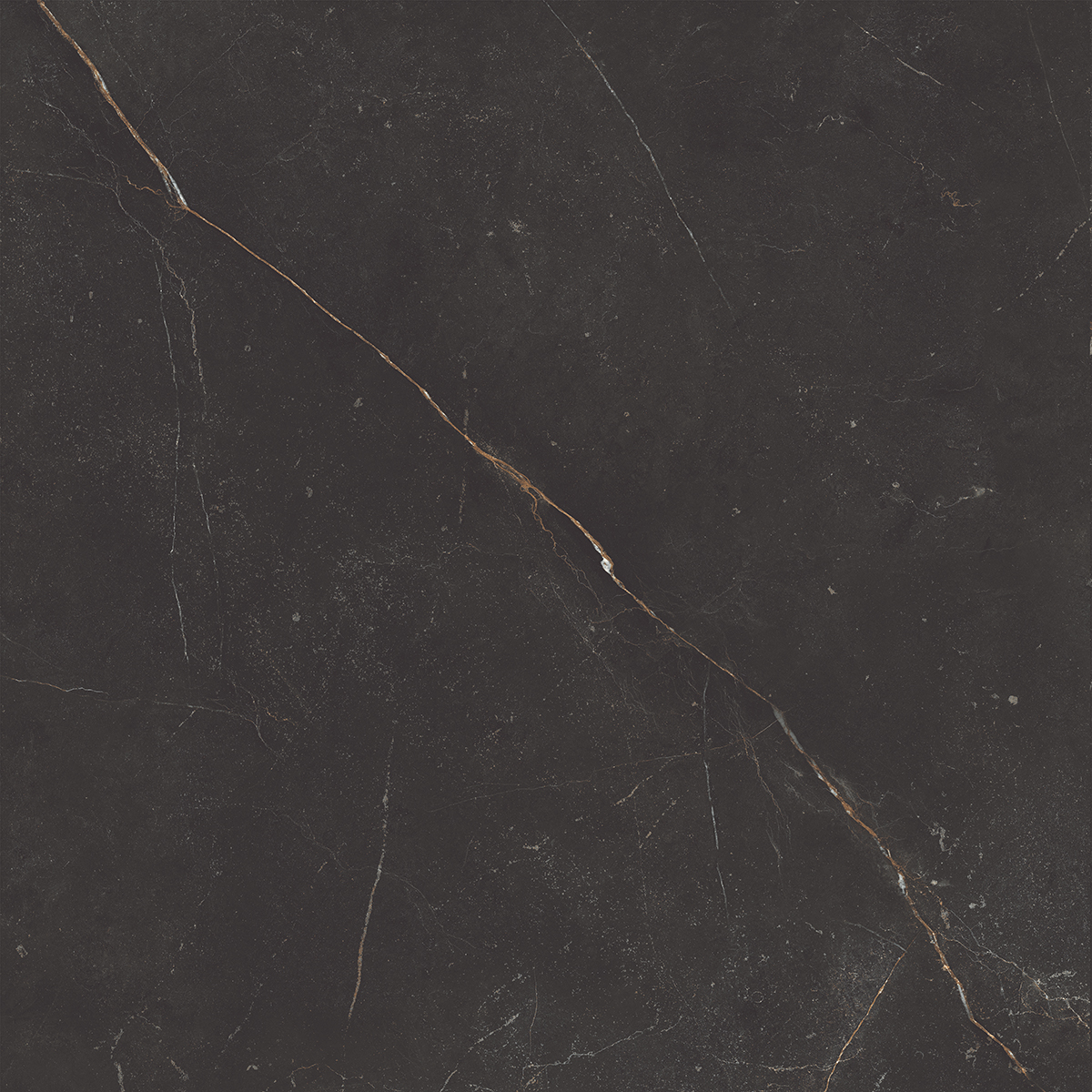 Плитка из керамогранита NL04 60x60x10 Непол.Рект. (Керамический гранит)