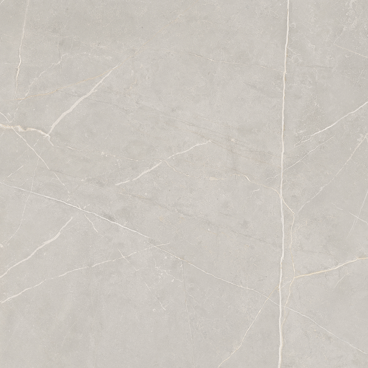 Плитка из керамогранита NL02 60x60x10 Непол.Рект. (Керамический гранит)