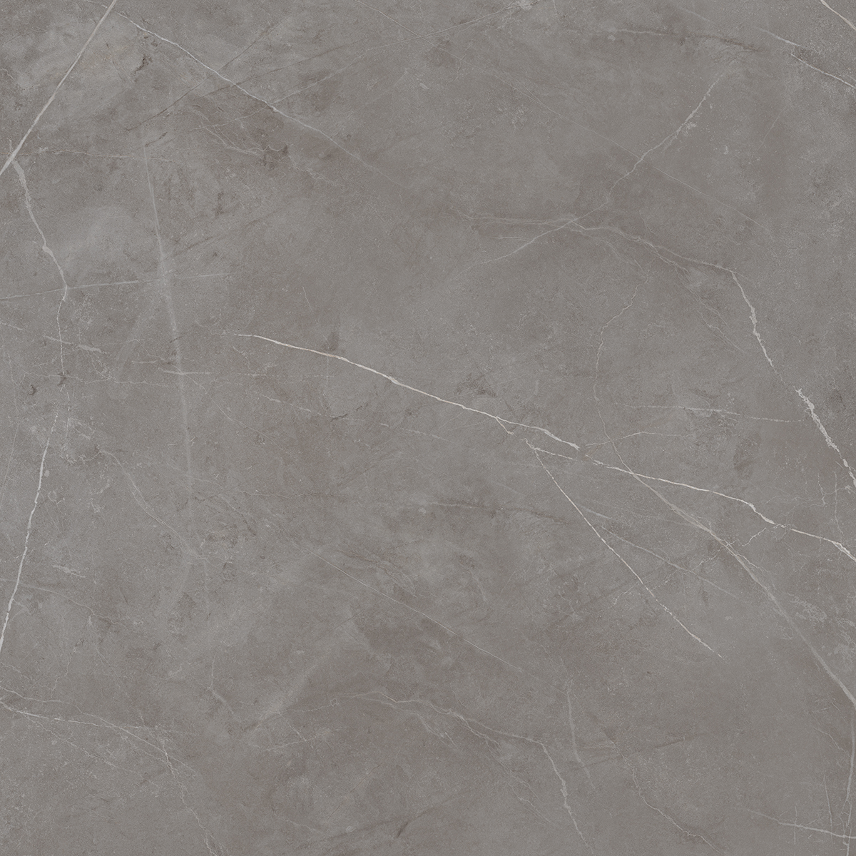 Плитка из керамогранита NL03 60x60x10 Непол.Рект. (Керамический гранит)