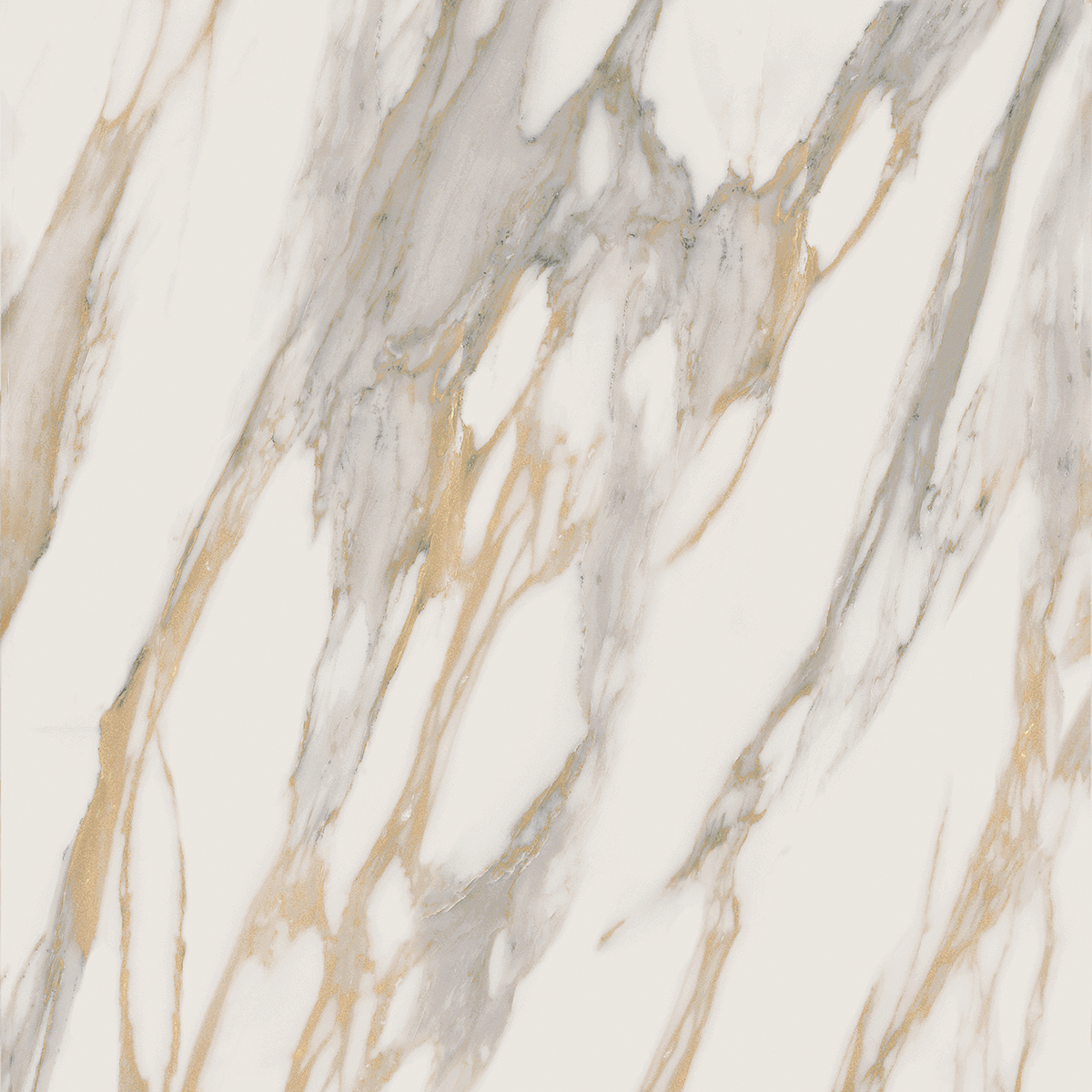 Плитка из керамогранита RM01 60x60x10 Полир. (Керамический гранит)
