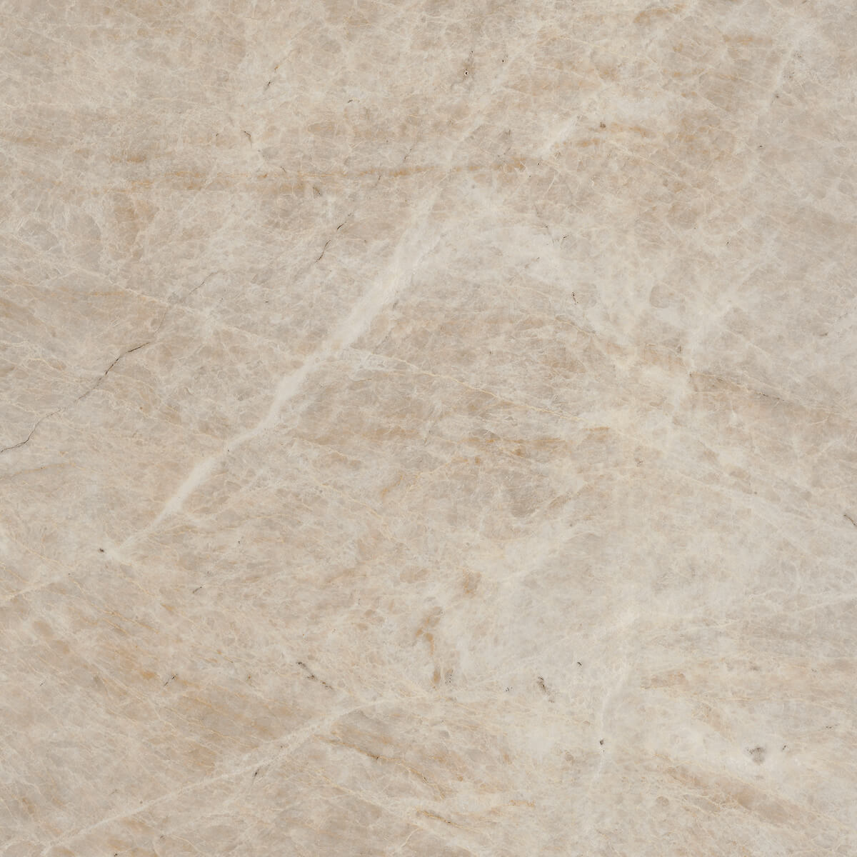 Плитка из керамогранита MO08 40,5x40,5x8 Непол. (Керамический гранит) (43,296 м2)