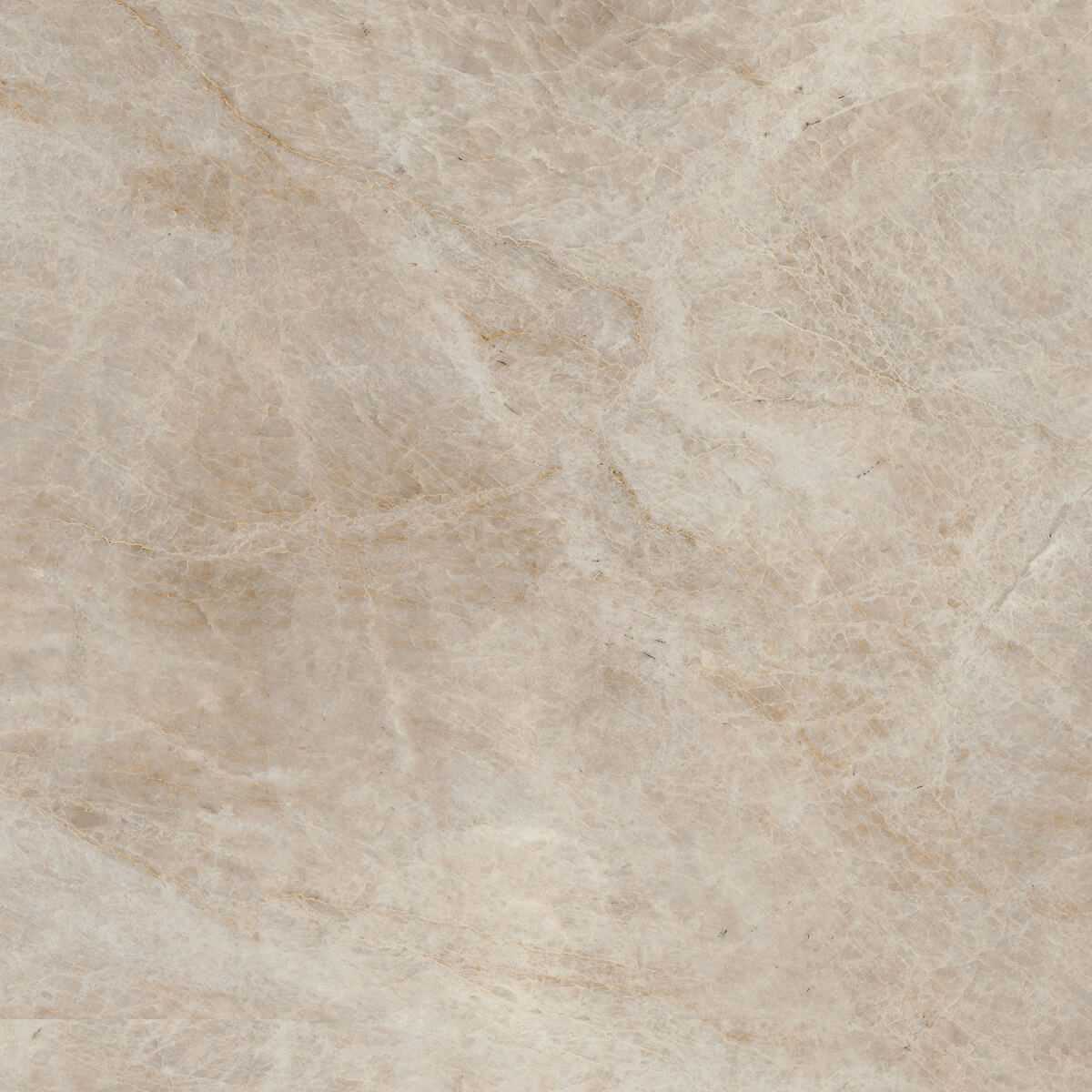 Плитка из керамогранита MO08 40,5x40,5x8 Непол. (Керамический гранит) (43,296 м2)