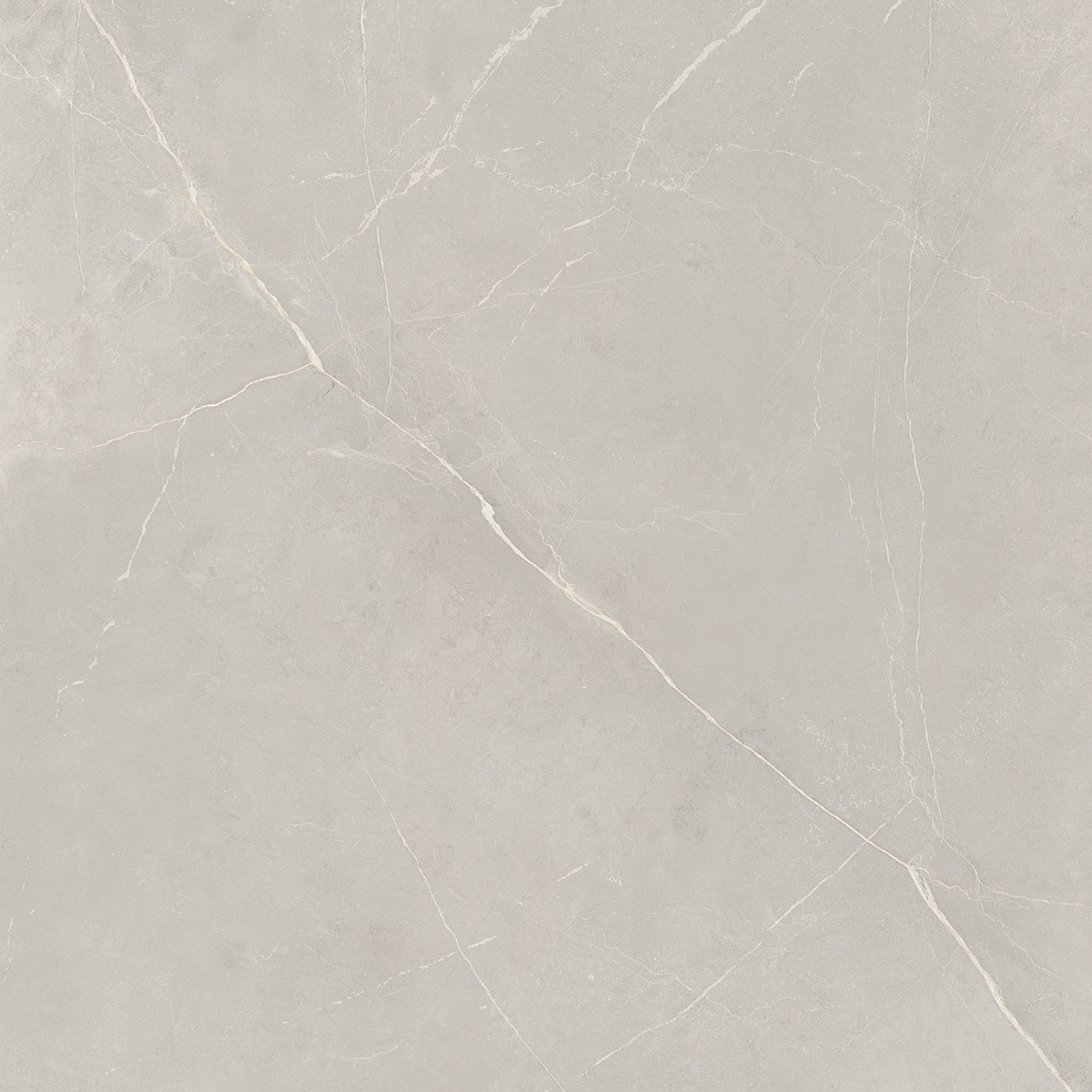 Плитка из керамогранита NL02 60x60x10 Непол.Рект. (Керамический гранит)