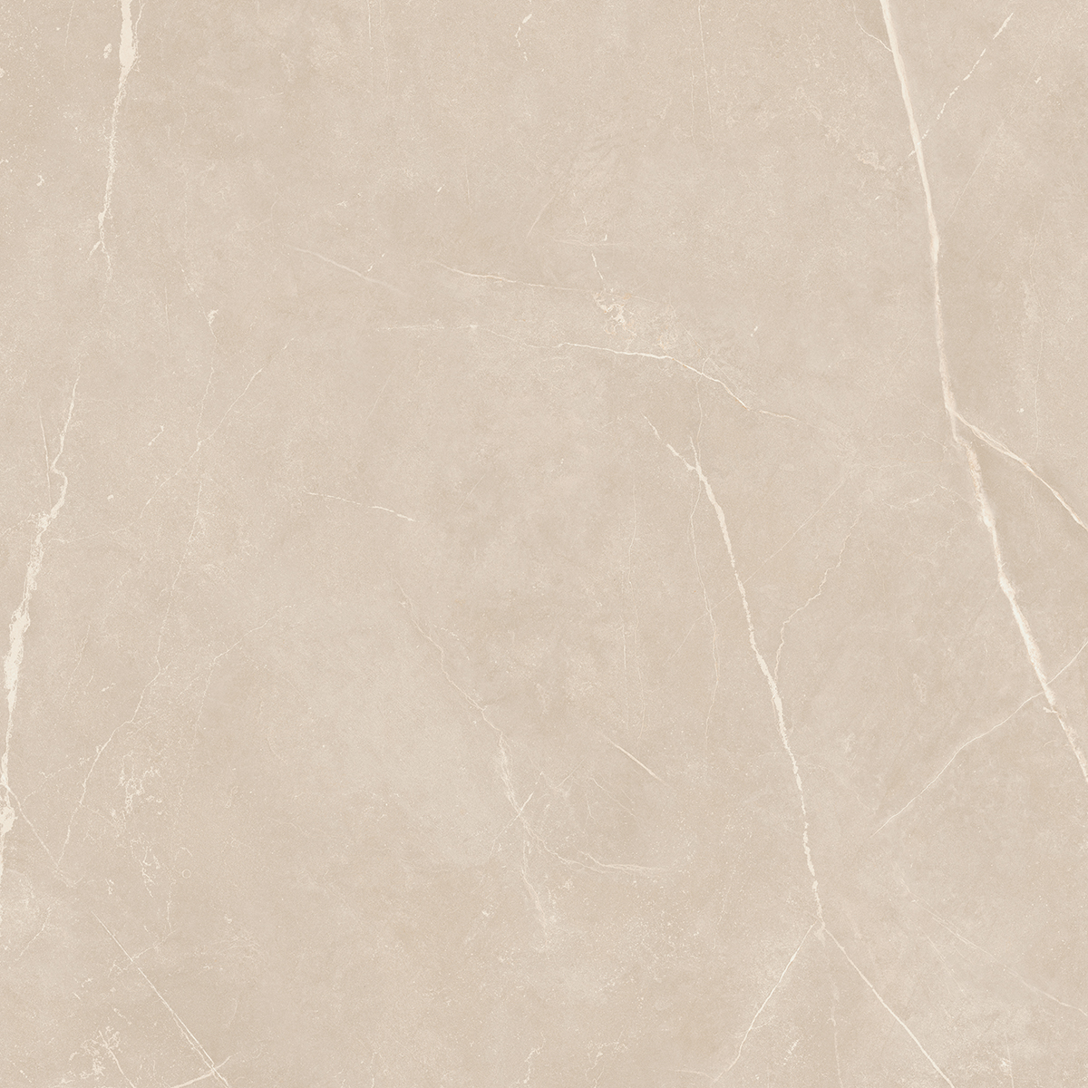 Плитка из керамогранита NL01 60x60x10 Непол.Рект. (Керамический гранит)