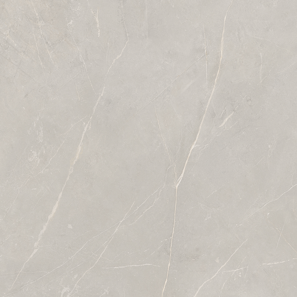 Плитка из керамогранита NL02 60x60x10 Непол.Рект. (Керамический гранит)