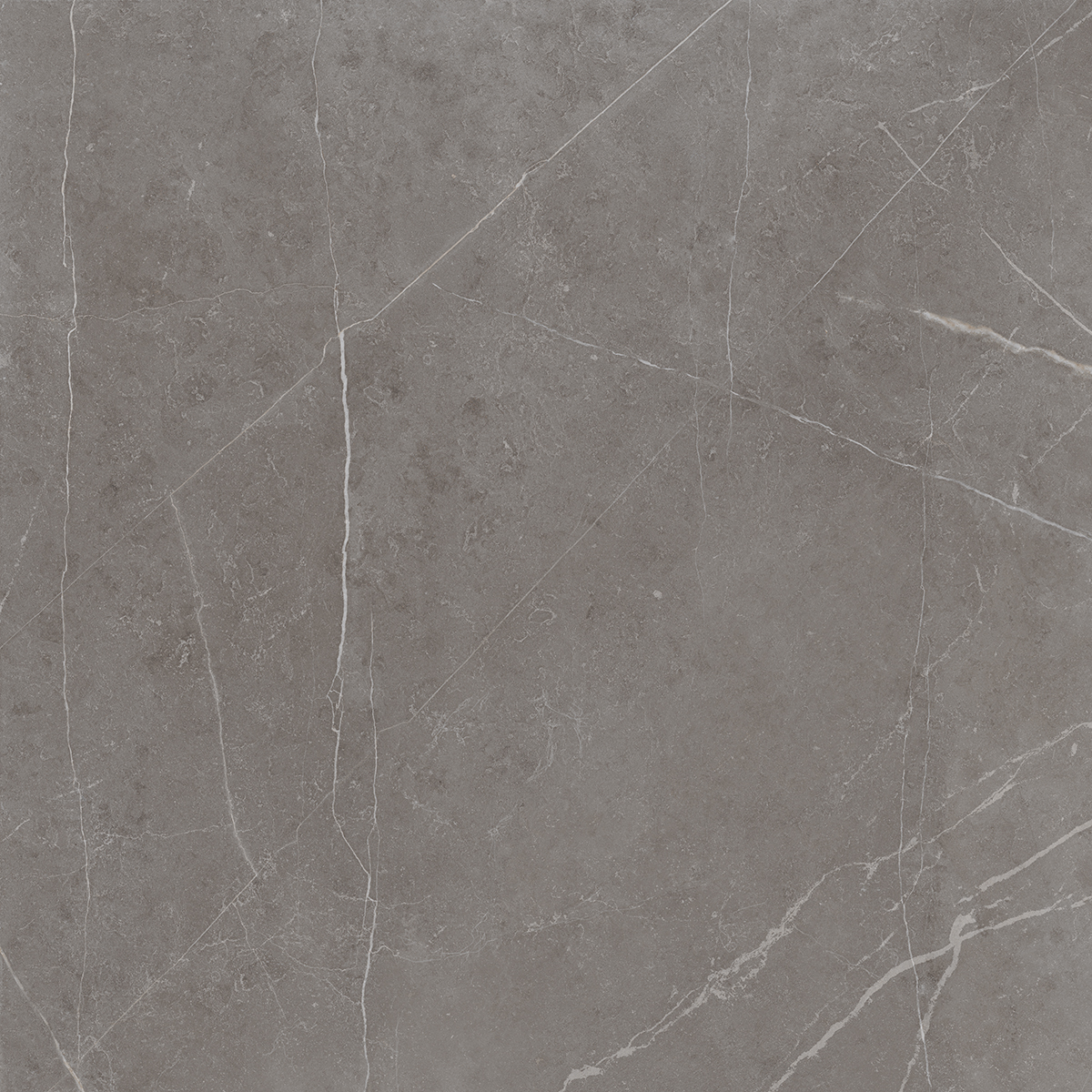 Плитка из керамогранита NL03 60x60x10 Непол.Рект. (Керамический гранит)