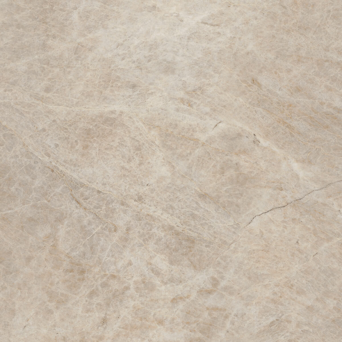 Плитка из керамогранита MO08 40,5x40,5x8 Непол. (Керамический гранит) (43,296 м2)