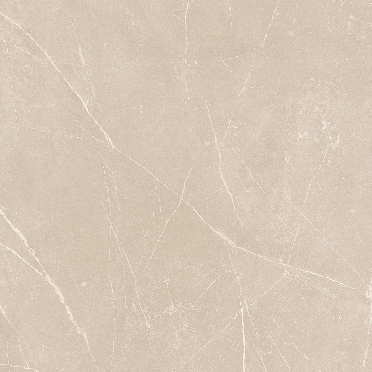 Плитка из керамогранита NL01 60x60x10 Непол.Рект. (Керамический гранит)