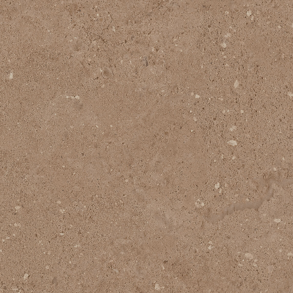 Плитка из керамогранита NP03 40,5x40,5x8 Непол. (Керамический гранит) (43,296 м2)