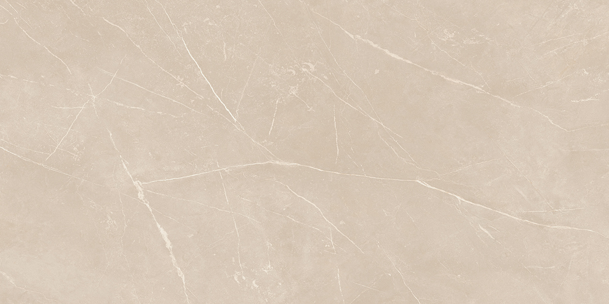 Плитка из керамогранита NL01 60x120x10 Непол.Рект. (Керамический гранит)