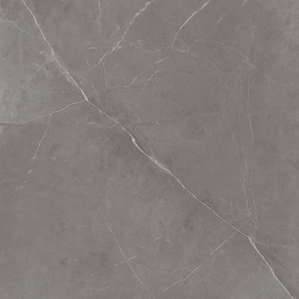 Плитка из керамогранита NL03 60x60x10 Непол.Рект. (Керамический гранит)