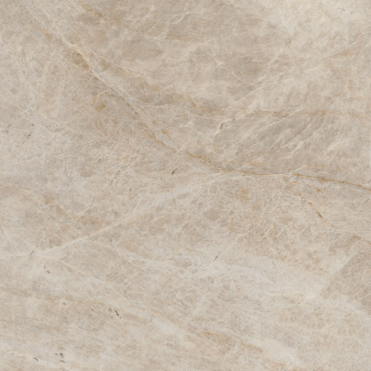 Плитка из керамогранита MO08 40,5x40,5x8 Непол. (Керамический гранит) (43,296 м2)