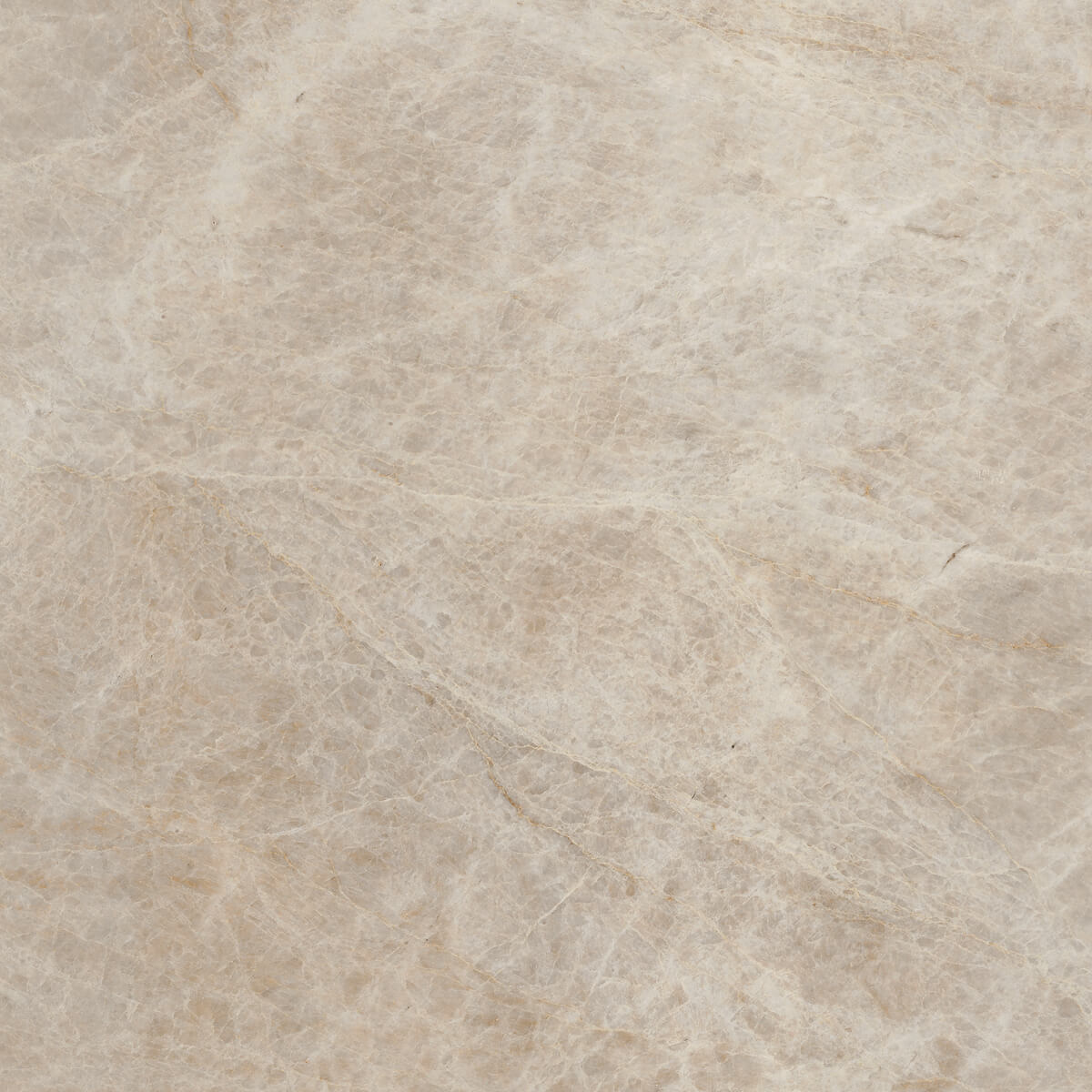 Плитка из керамогранита MO08 40,5x40,5x8 Непол. (Керамический гранит) (43,296 м2)