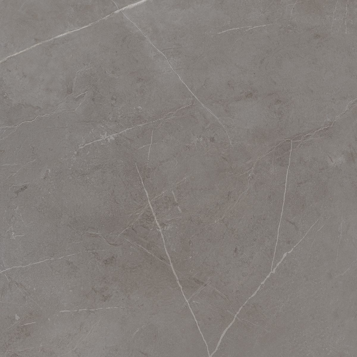 Плитка из керамогранита NL03 60x60x10 Непол.Рект. (Керамический гранит)