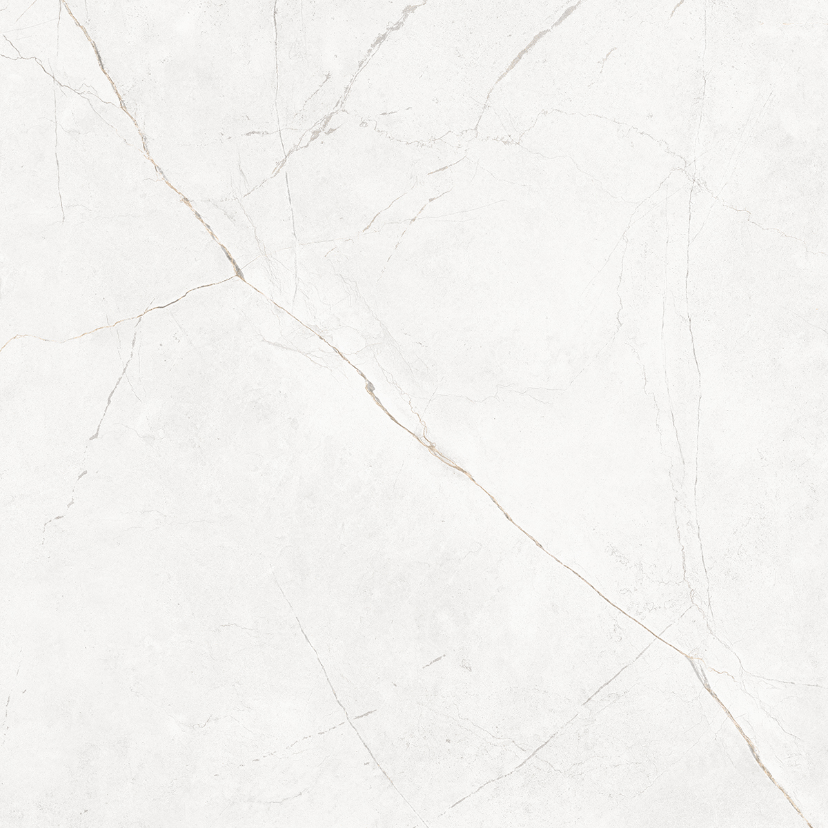 Плитка из керамогранита NL00 60x60x10 Непол.Рект. (Керамический гранит)