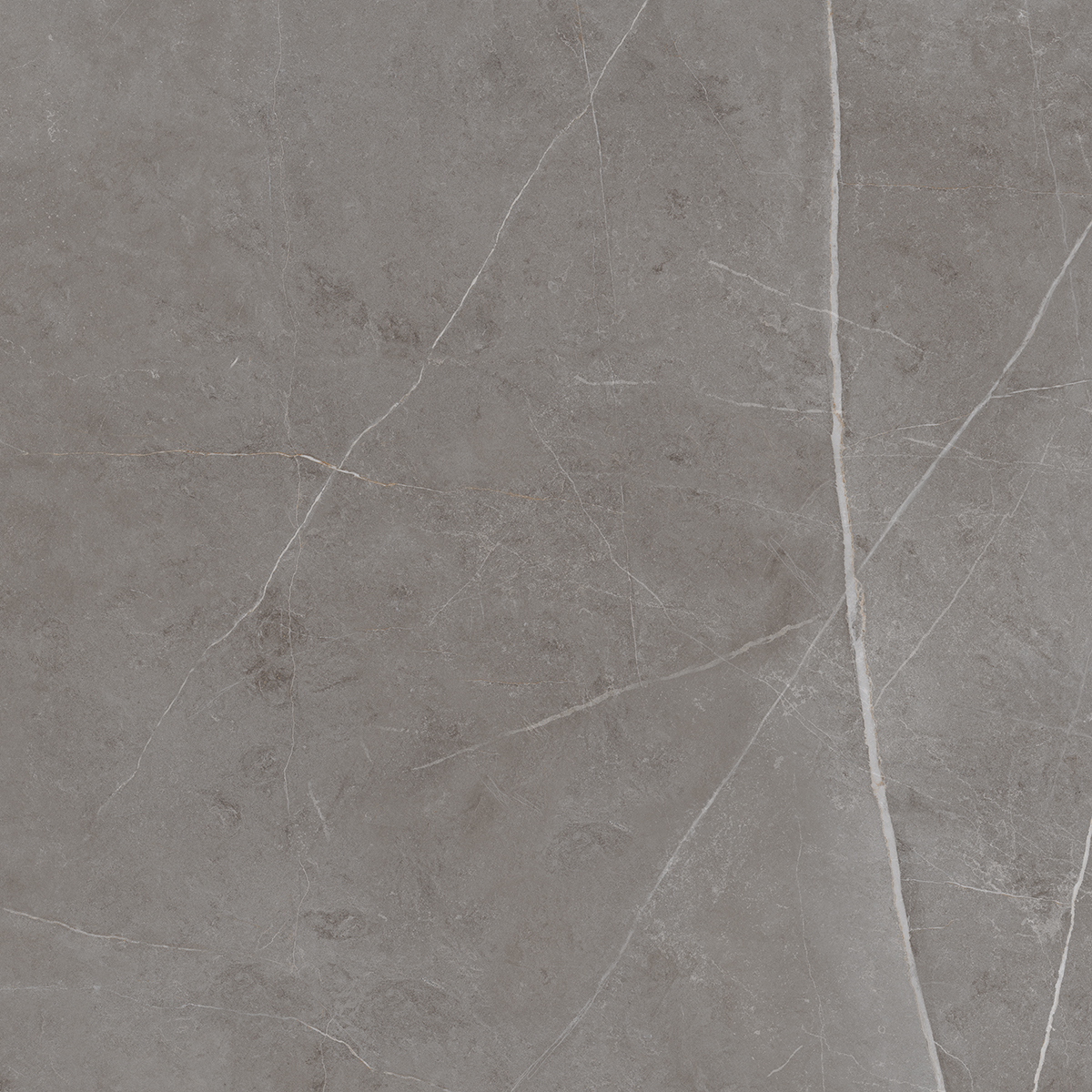 Плитка из керамогранита NL03 60x60x10 Непол.Рект. (Керамический гранит)