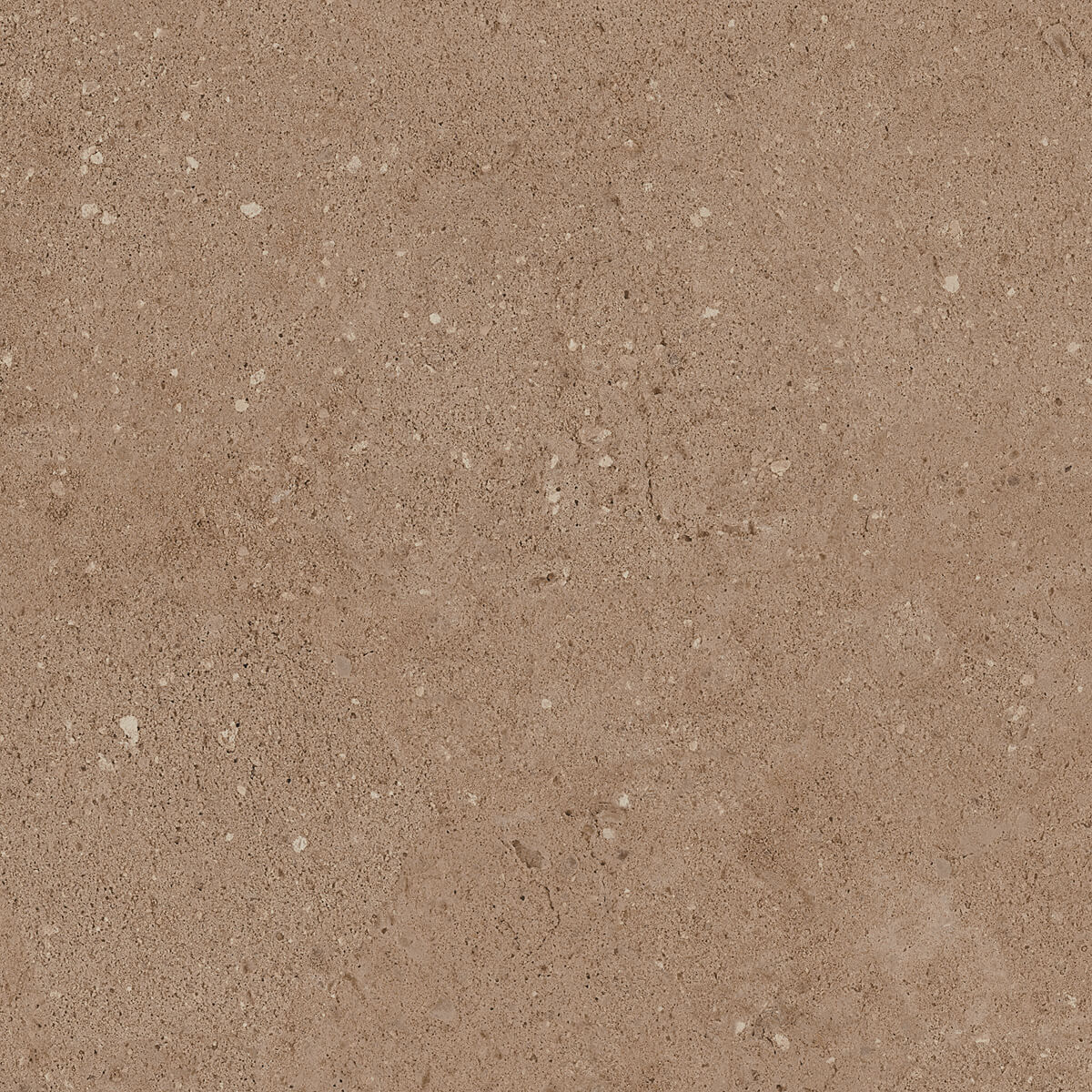 Плитка из керамогранита NP03 40,5x40,5x8 Непол. (Керамический гранит) (43,296 м2)