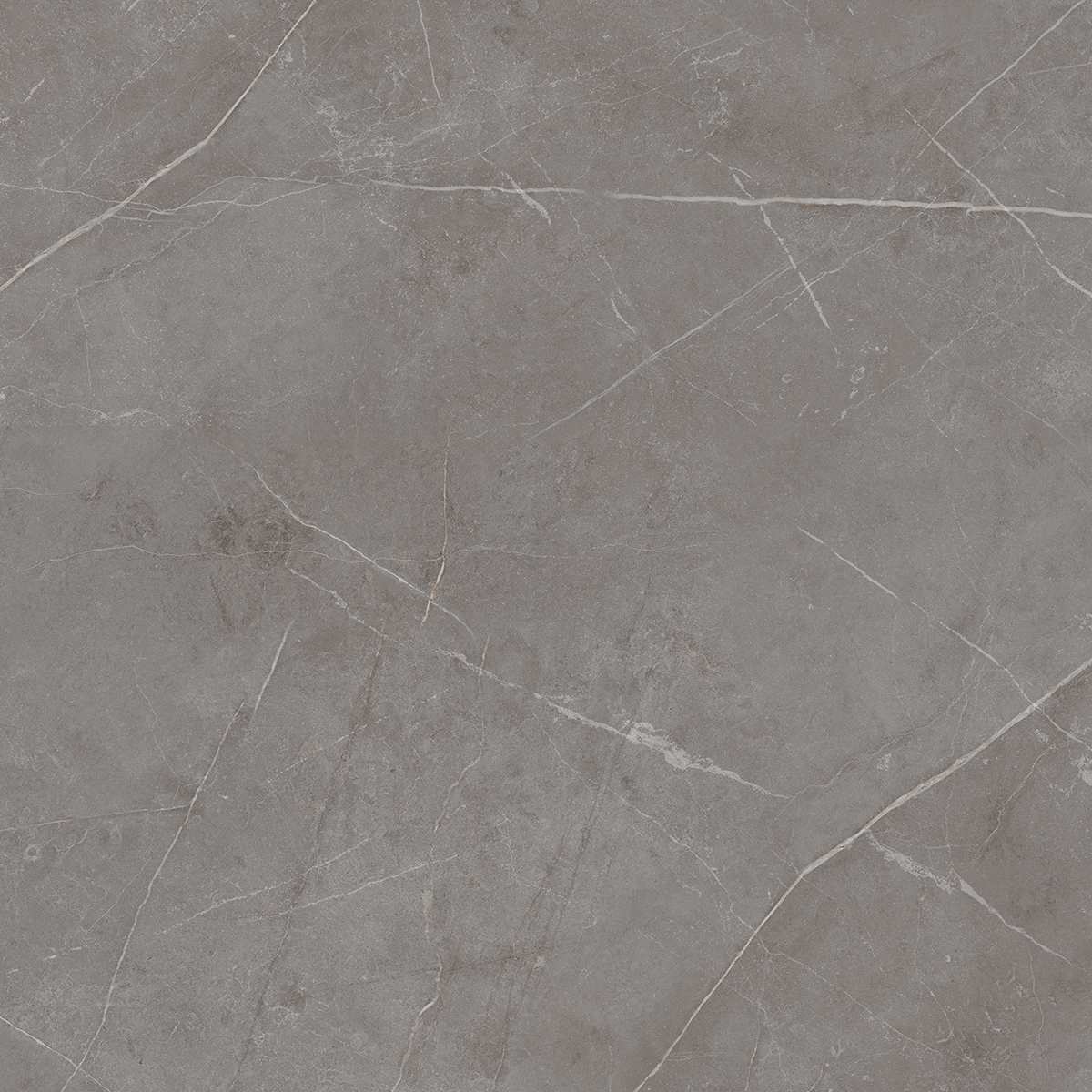 Плитка из керамогранита NL03 60x60x10 Непол.Рект. (Керамический гранит)