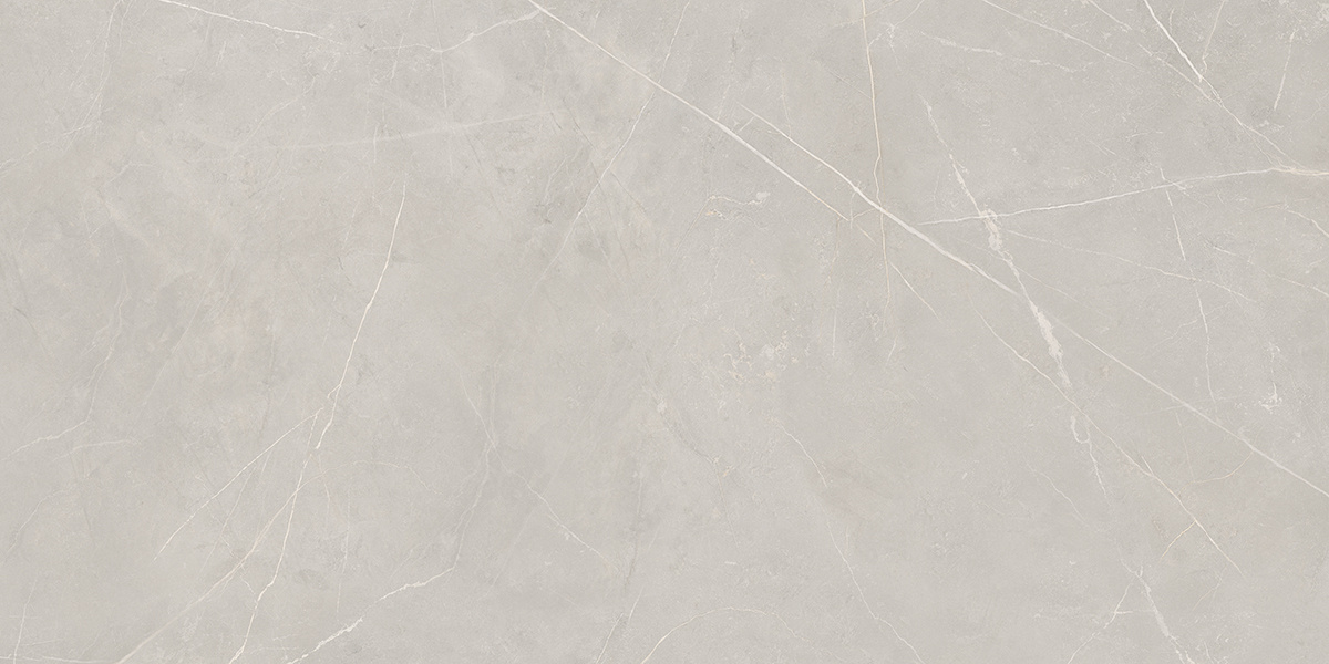 Плитка из керамогранита NL02 60x120x10 Непол.Рект. (Керамический гранит)