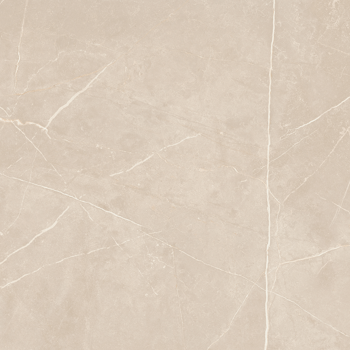 Плитка из керамогранита NL01 60x60x10 Непол.Рект. (Керамический гранит)