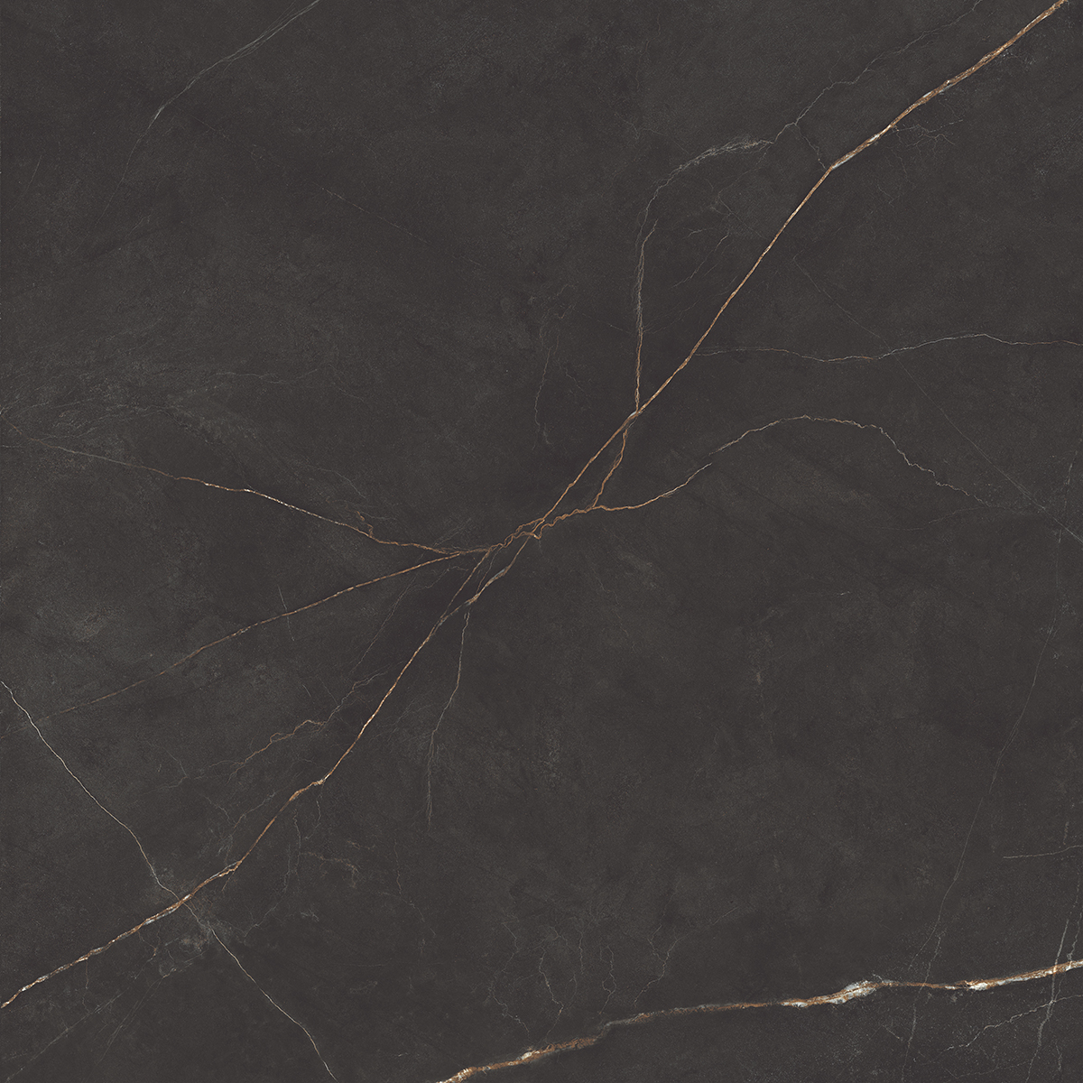 Плитка из керамогранита NL04 60x60x10 Непол.Рект. (Керамический гранит)