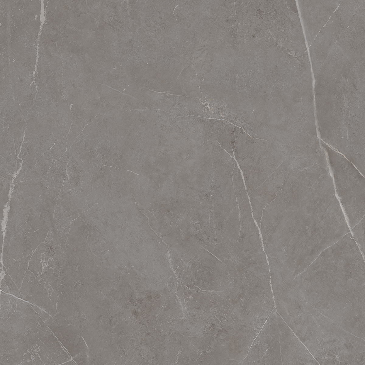 Плитка из керамогранита NL03 60x60x10 Непол.Рект. (Керамический гранит)