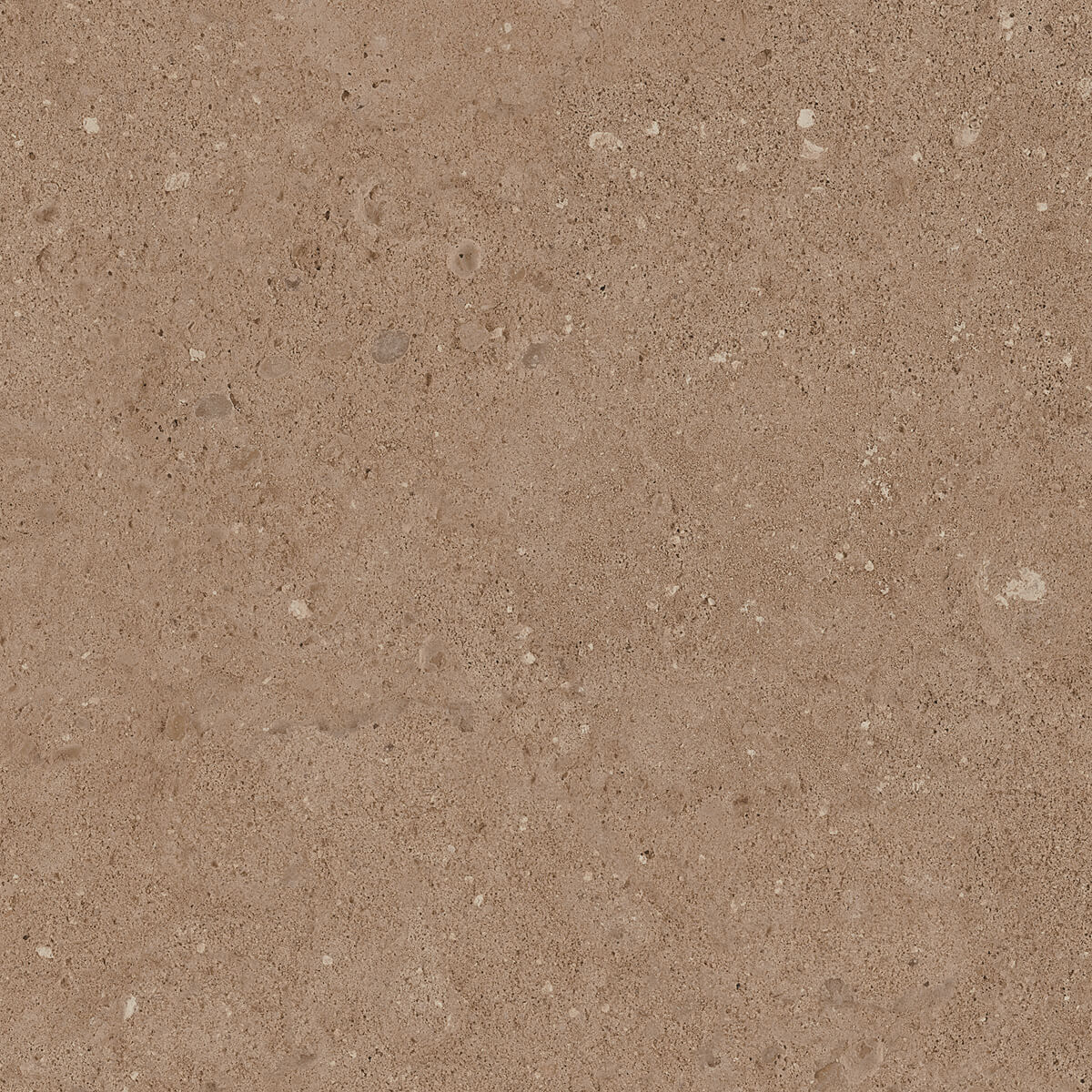Плитка из керамогранита NP03 40,5x40,5x8 Непол. (Керамический гранит) (43,296 м2)