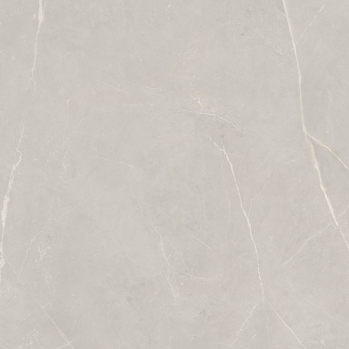 Плитка из керамогранита NL02 60x60x10 Непол.Рект. (Керамический гранит)