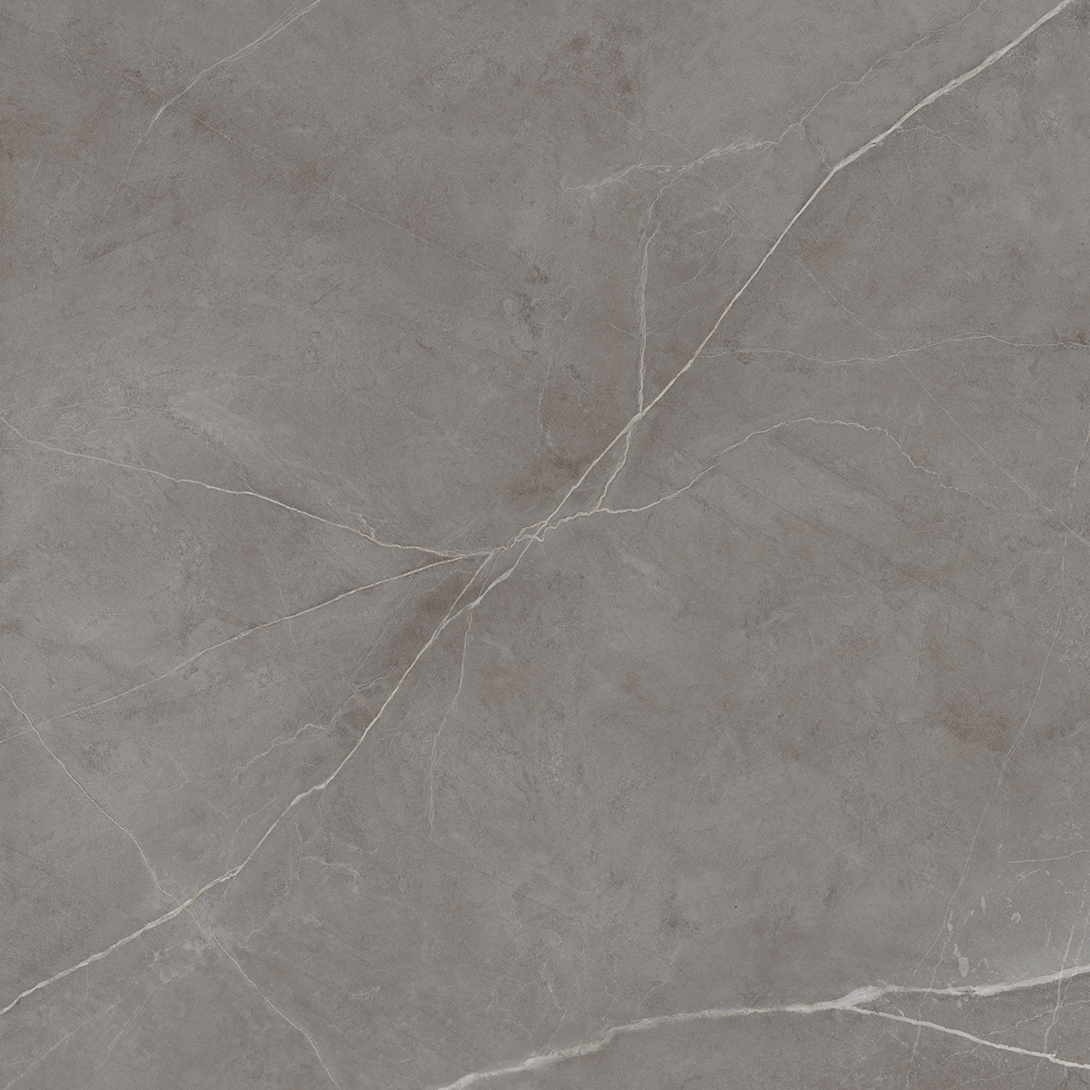 Плитка из керамогранита NL03 60x60x10 Непол.Рект. (Керамический гранит)