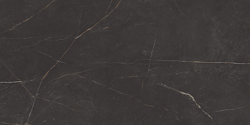 Плитка из керамогранита NL04 60x120x10 Непол.Рект. (Керамический гранит)