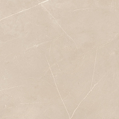 Плитка из керамогранита NL01 60x60x10 Непол.Рект. (Керамический гранит)