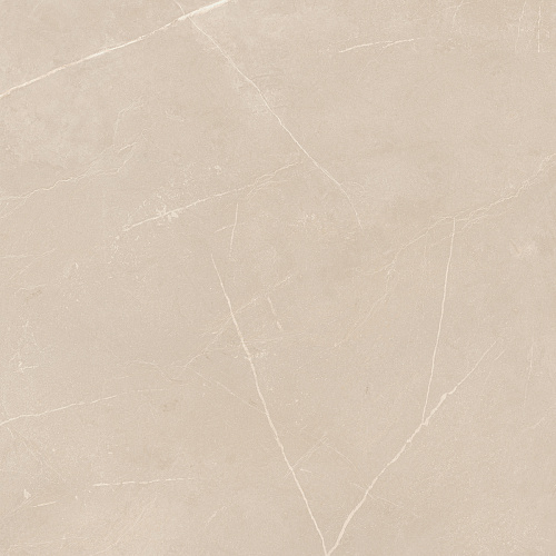 Плитка из керамогранита NL01 60x60x10 Непол.Рект. (Керамический гранит)