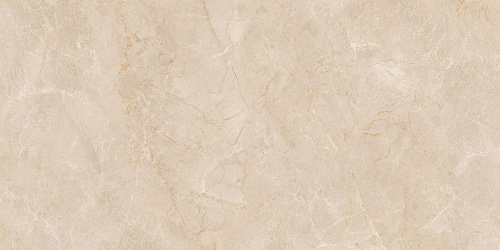 Плитка из керамогранита EXM301 60x120x9 Непол.Рект. (Керамический гранит)