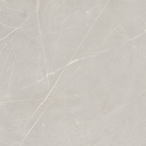 Плитка из керамогранита NL02 60x60x10 Непол.Рект. (Керамический гранит)