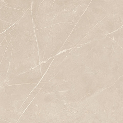 Плитка из керамогранита NL01 60x60x10 Непол.Рект. (Керамический гранит)
